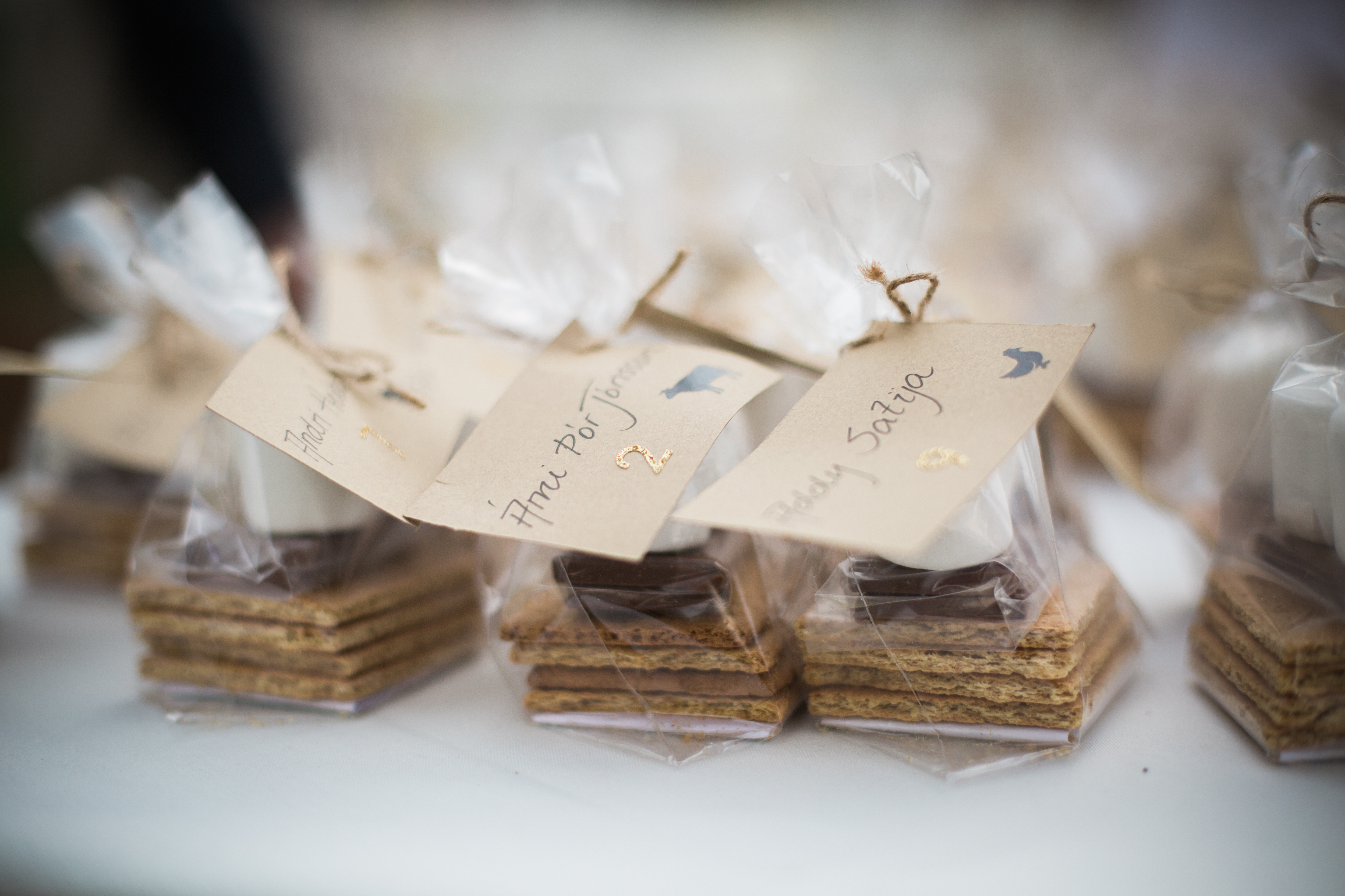 Lilja-Greg-Wedding-30