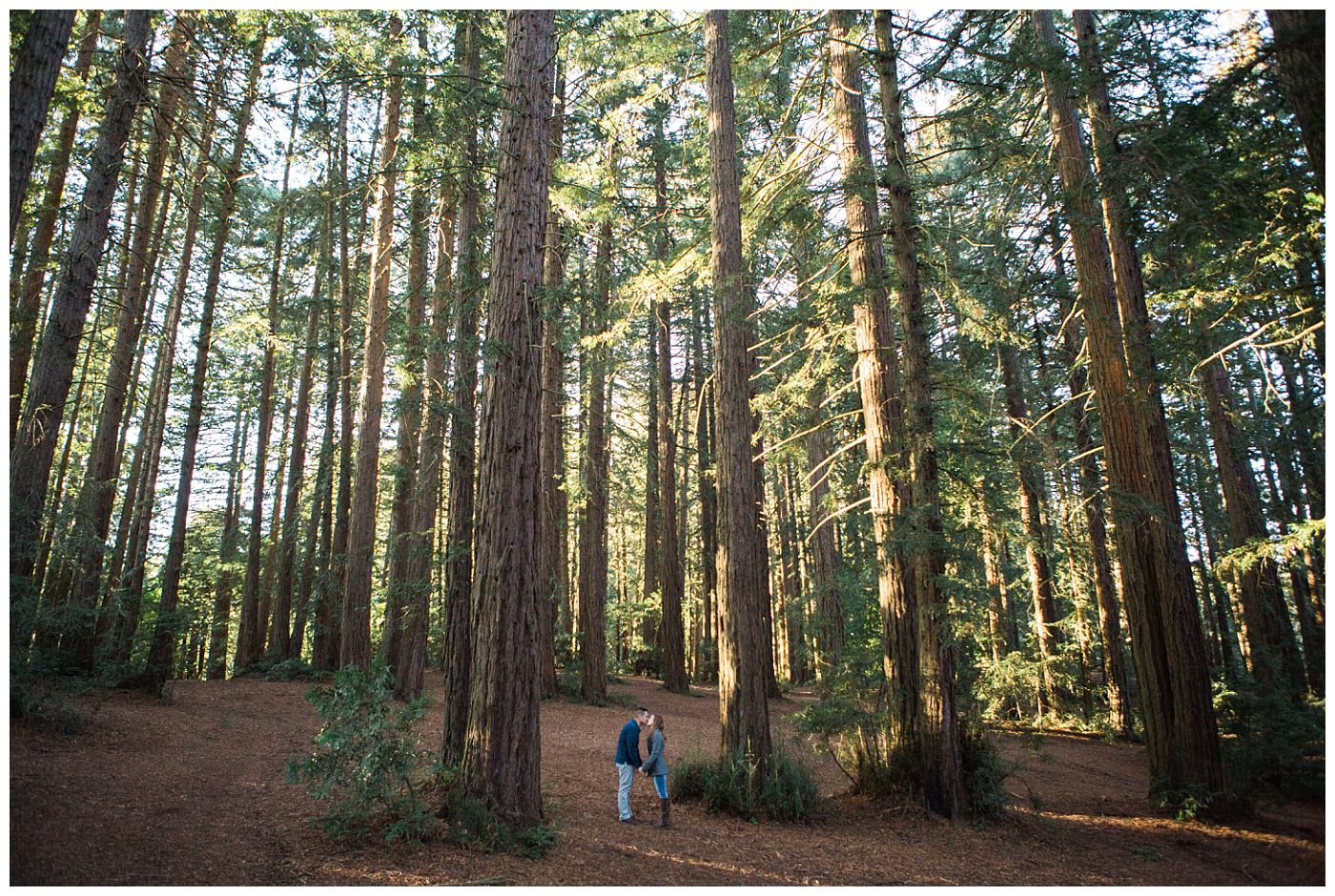 oakland forest engagement photos, redwood-engagement-session-angela-leo_0002