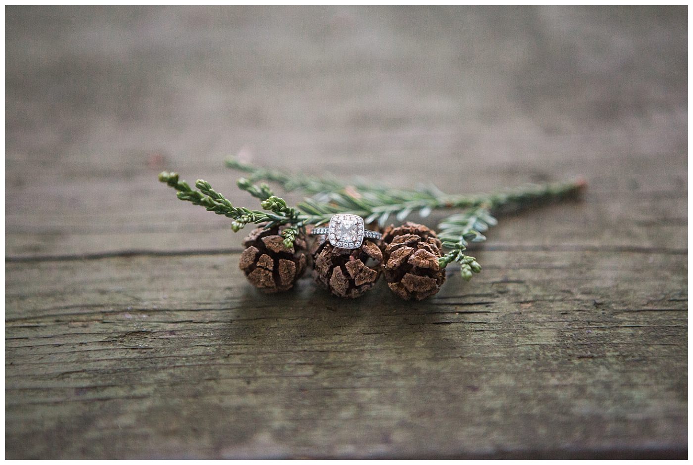 oakland forest engagement photos, redwood-engagement-session-angela-leo_0021