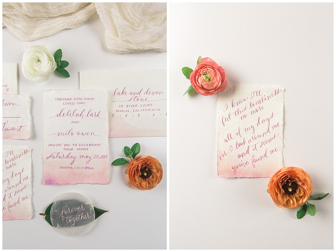 alpaca-wedding-inspo_0001