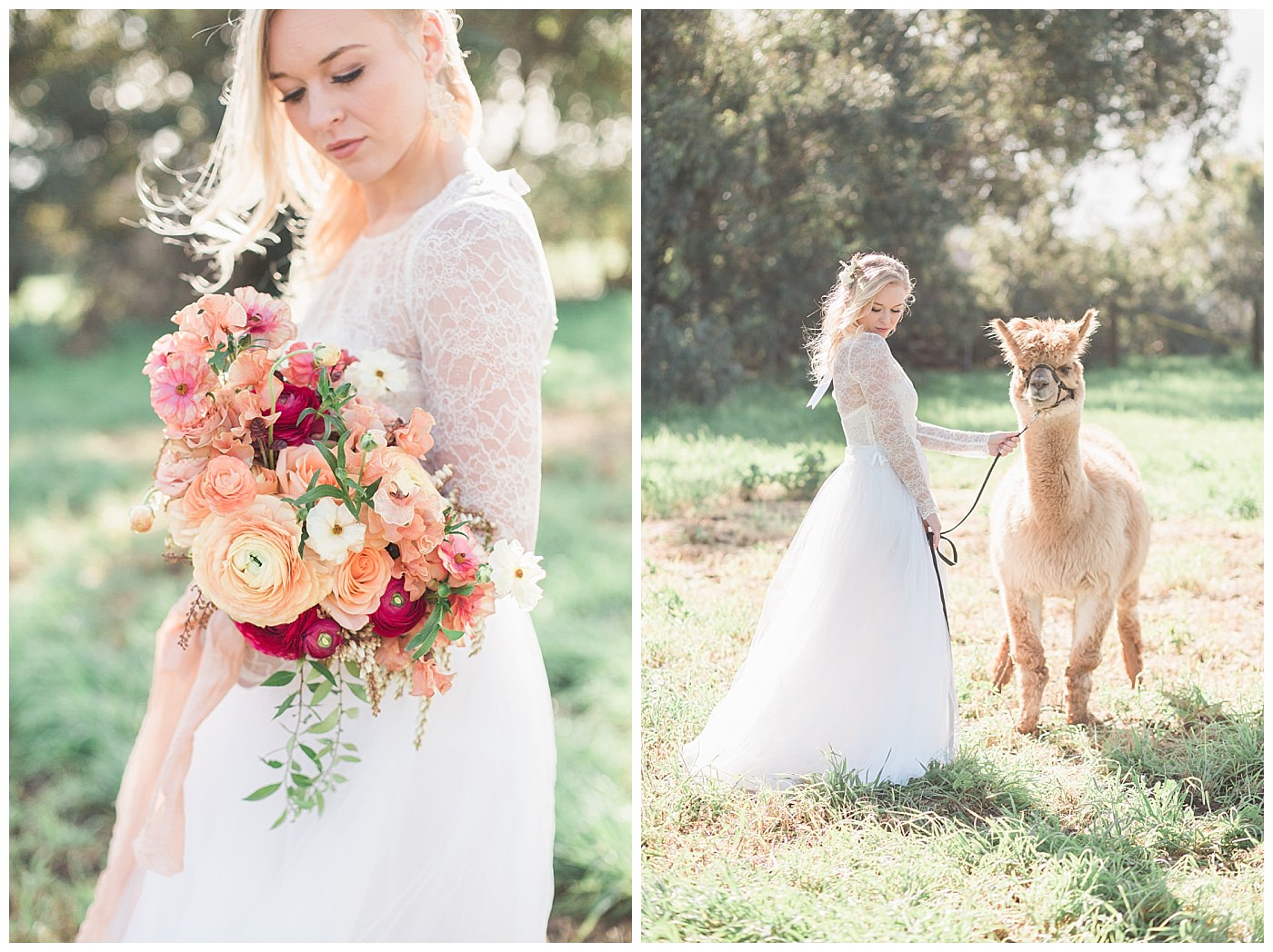 alpaca-wedding-inspo_0006