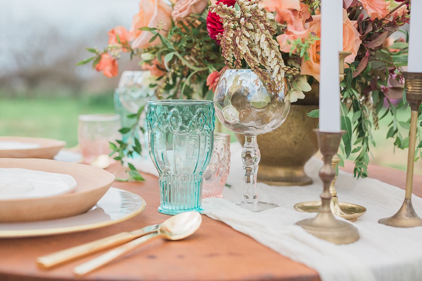 christy-mccarter-photography-alpaca-_0057