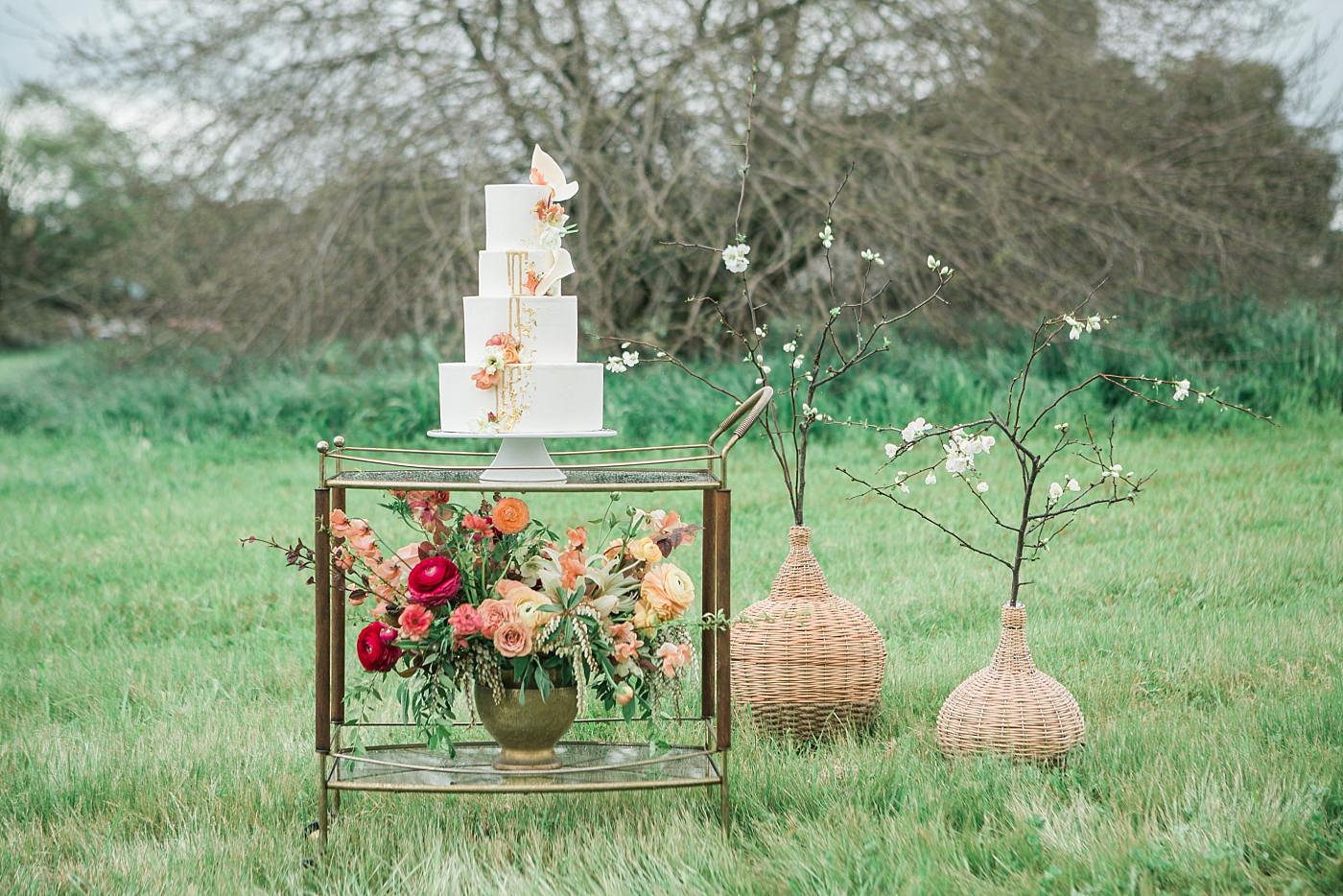 christy-mccarter-photography-alpaca-_0067