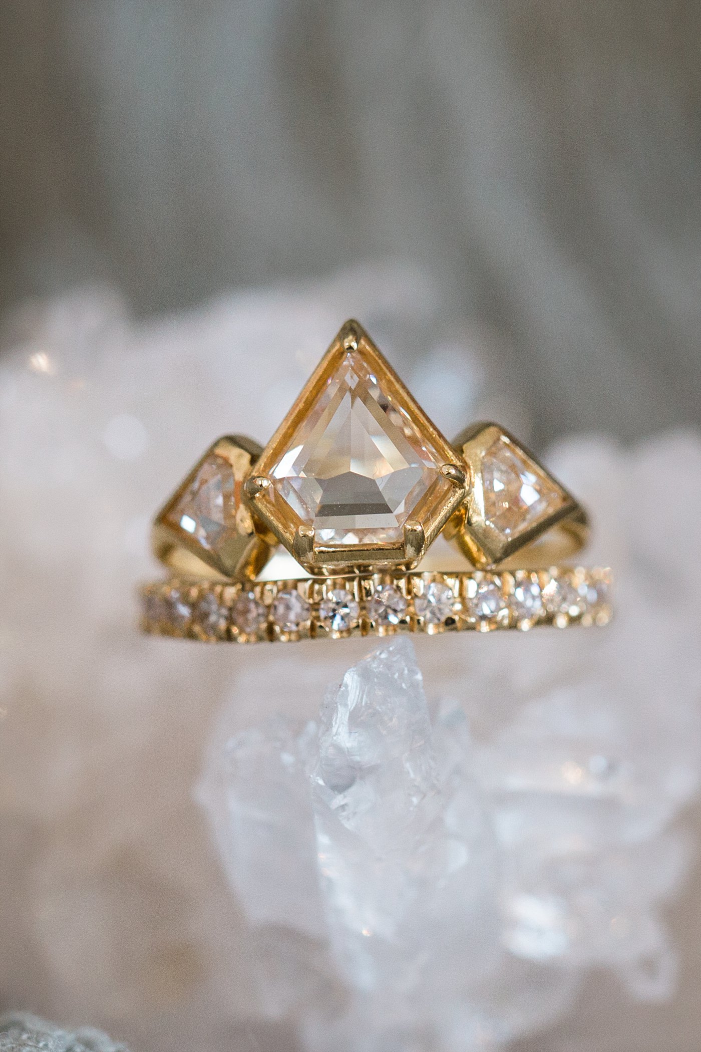 !christy-mccarter-photography-alpaca-_0083