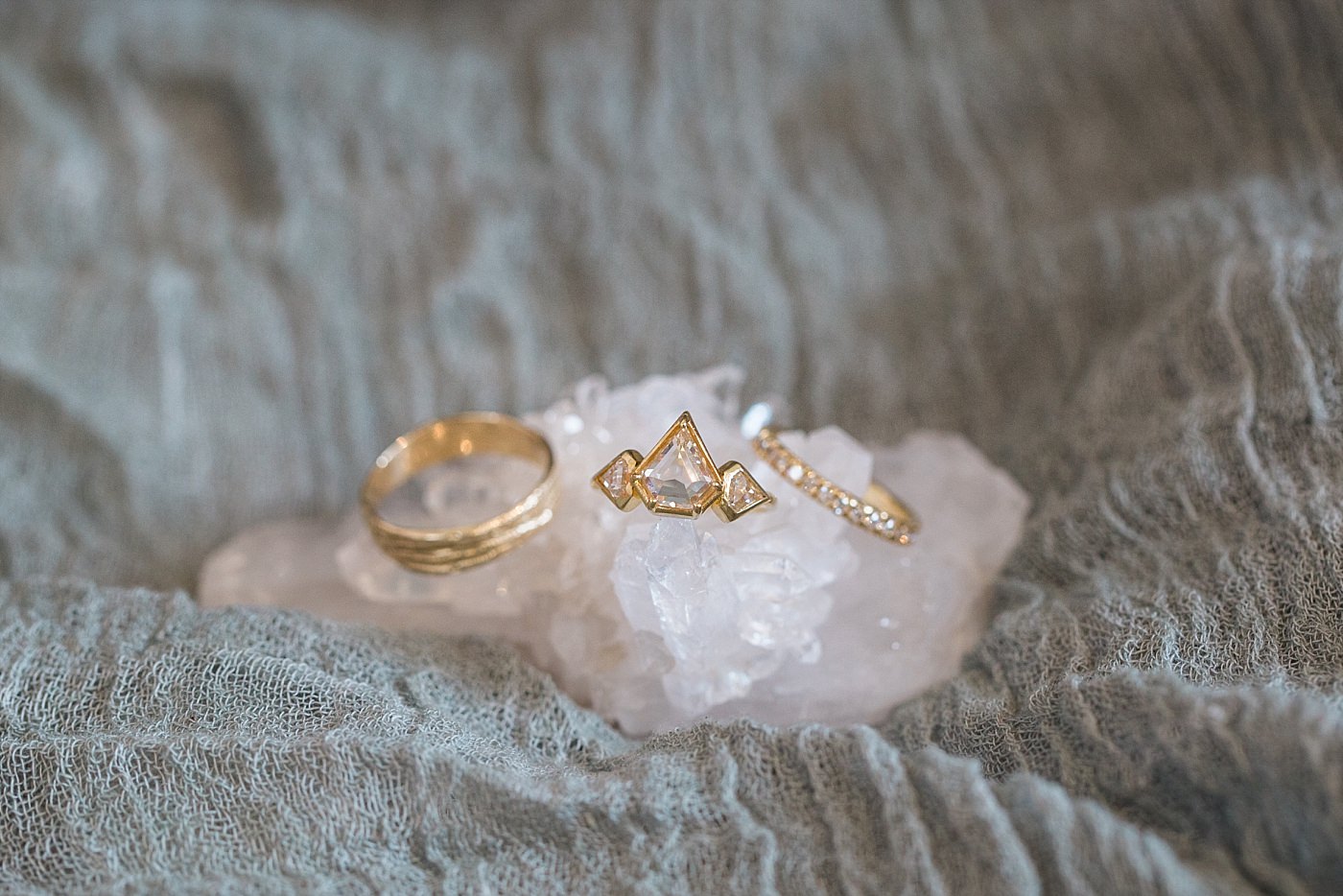 !christy-mccarter-photography-alpaca-_0086