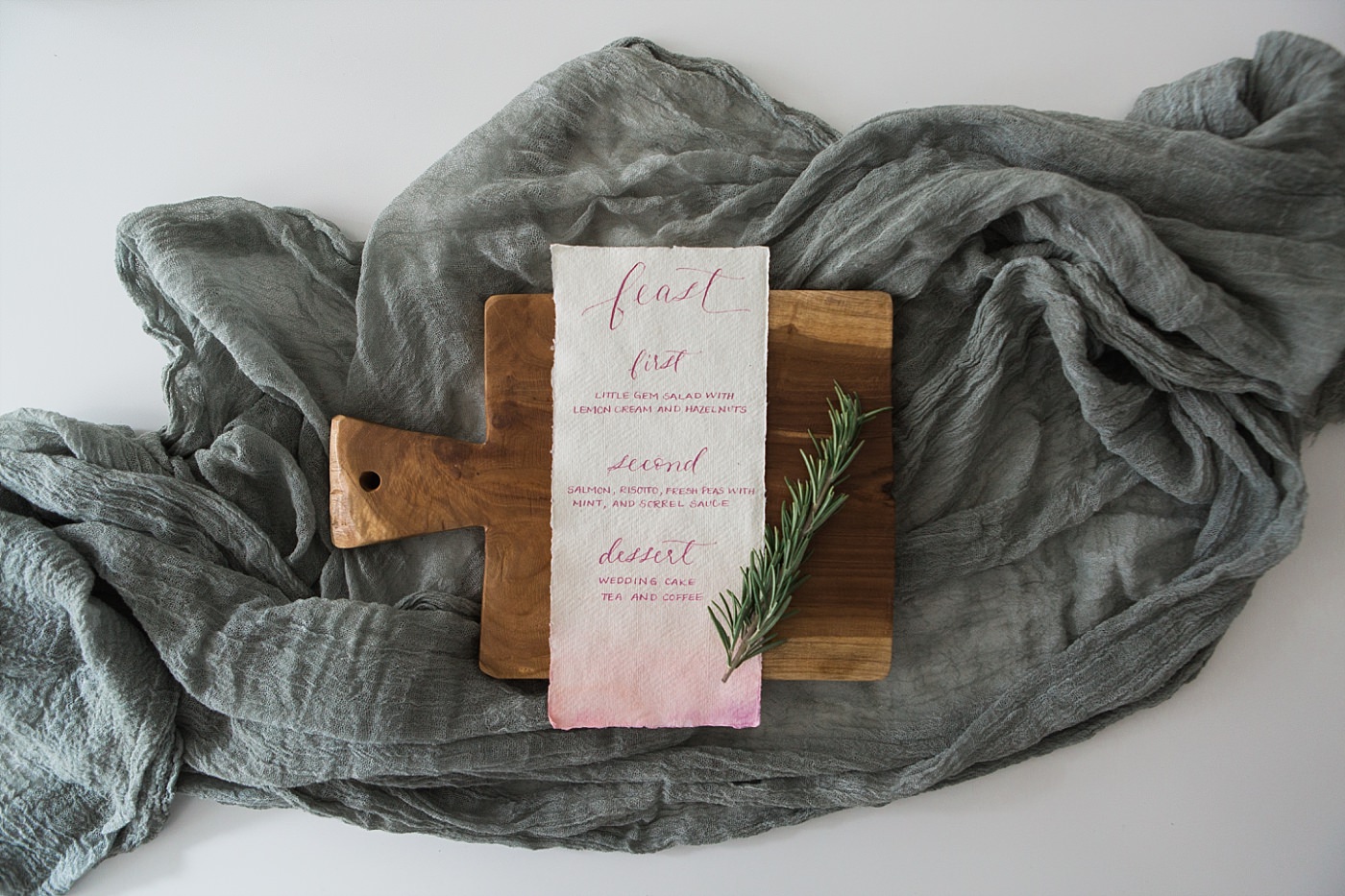 !christy-mccarter-photography-alpaca-_0088