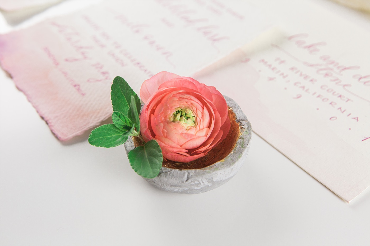 !christy-mccarter-photography-alpaca-_0100