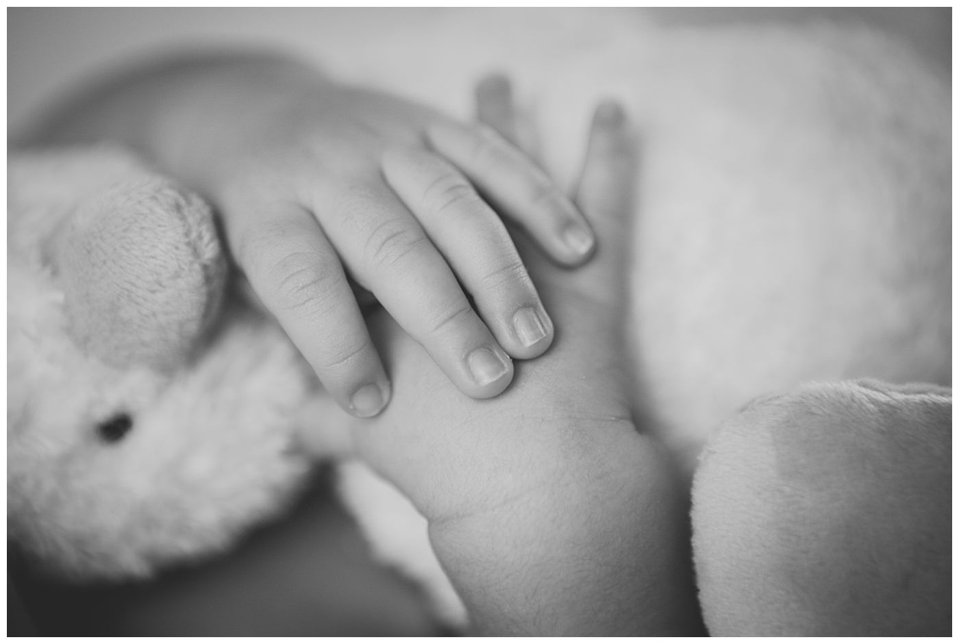 palo-alto-family-session-tiltons_0023