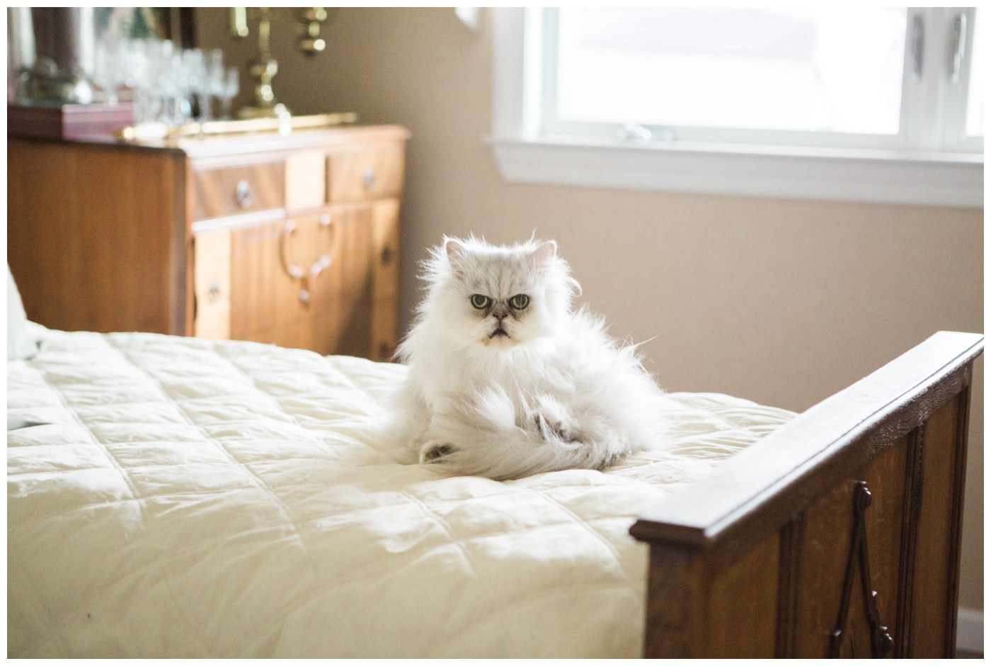 portola-valley-wedding-rebecca-mark-003