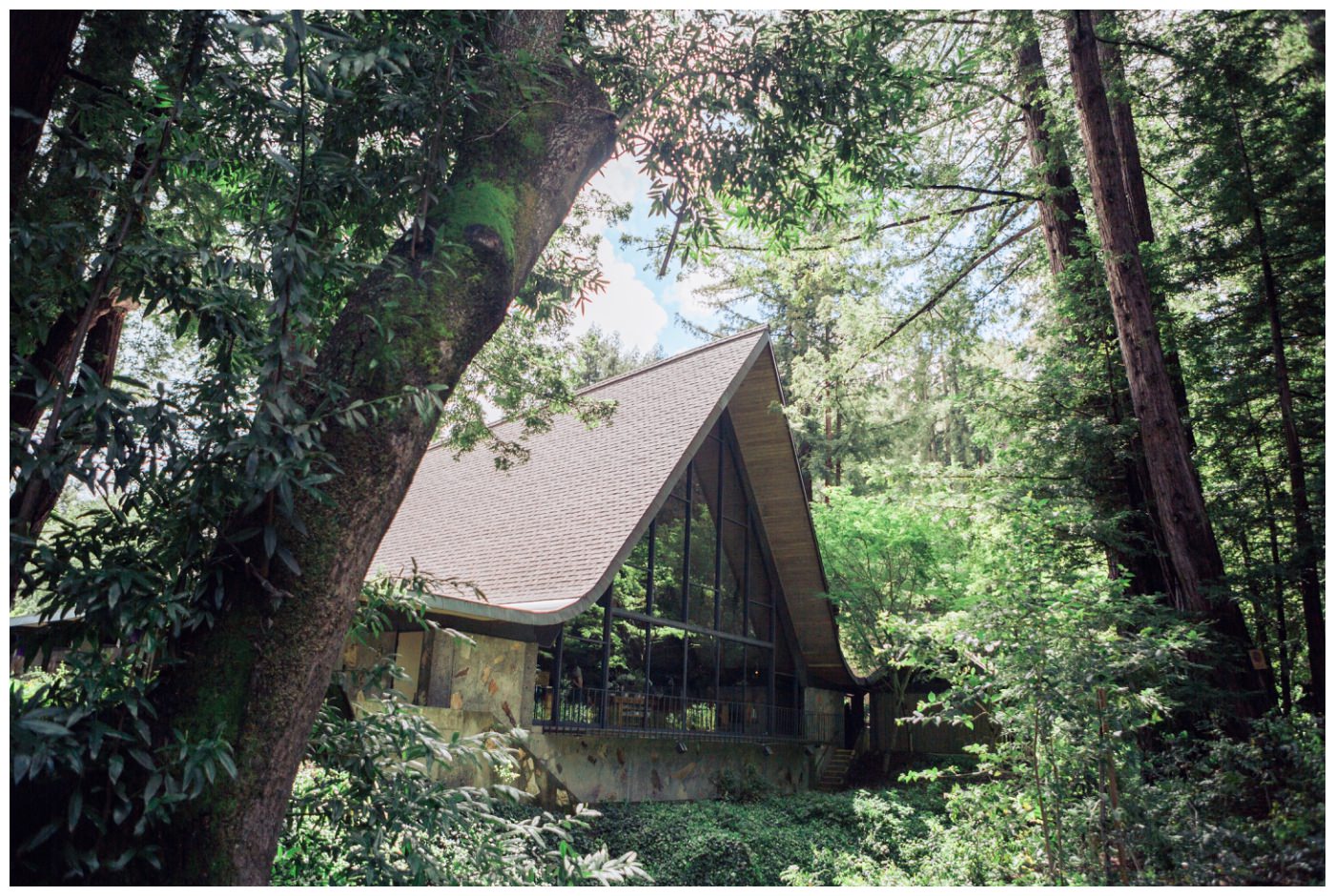 portola-valley-wedding-rebecca-mark-017