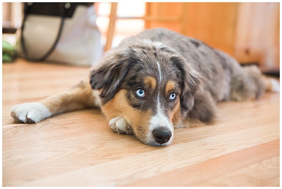 fairfax-meadow-club-wedding-megan-mike_0011