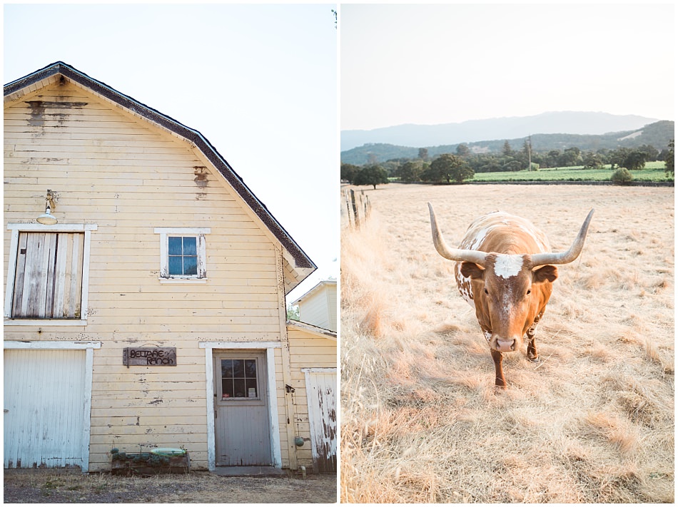 beltane+ranch+sonoma+wedding+ashby+mark_0003