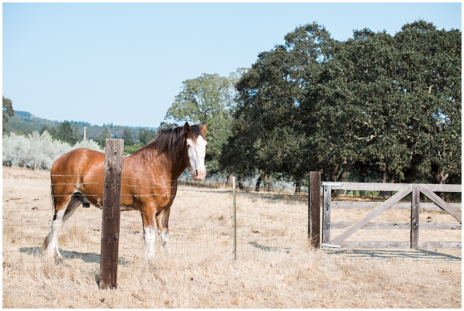 beltane+ranch+sonoma+wedding+ashby+mark_0004