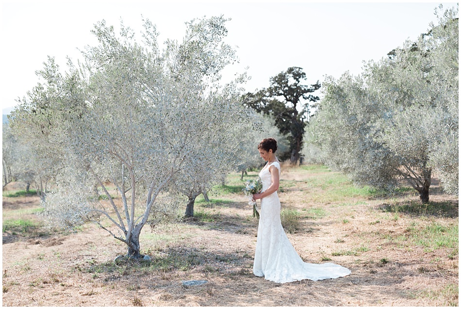 beltane+ranch+sonoma+wedding+ashby+mark_0040