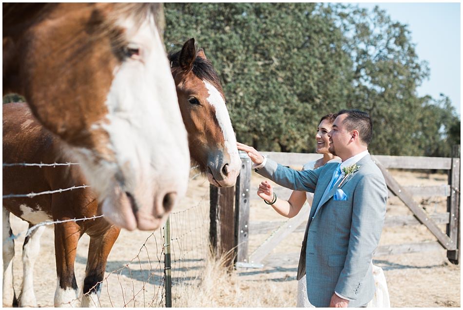 beltane+ranch+sonoma+wedding+ashby+mark_0048