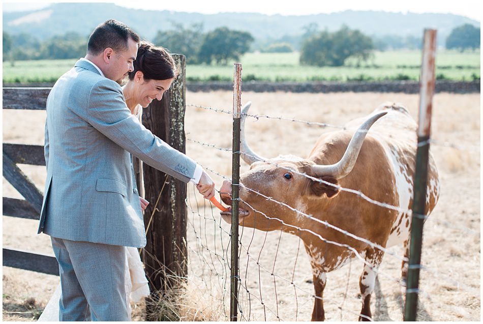 beltane+ranch+sonoma+wedding+ashby+mark_0052