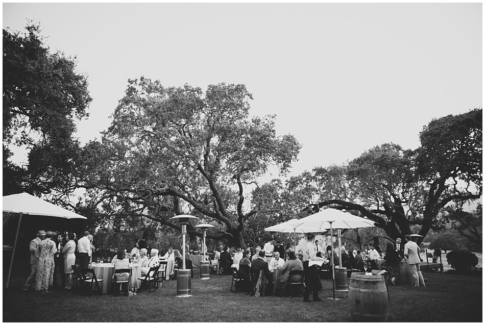 beltane+ranch+sonoma+wedding+ashby+mark_0089