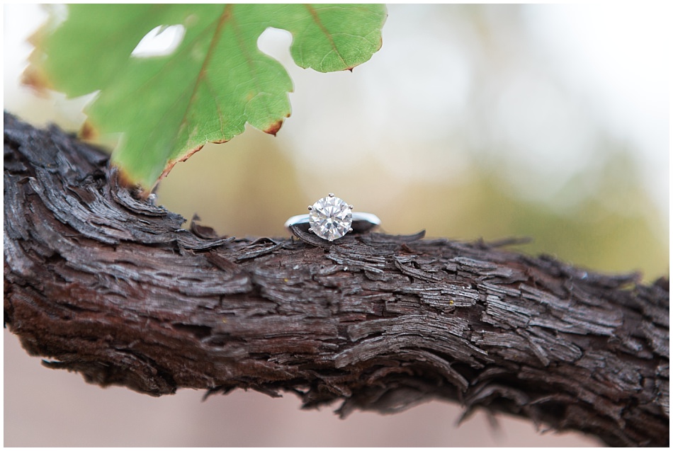 wenna-kent-sonoma-engagement-session_0026
