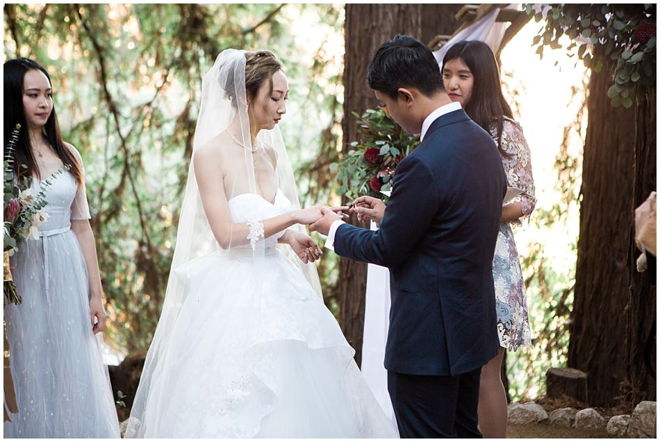 olive-clark-redwood-hideaway_0045