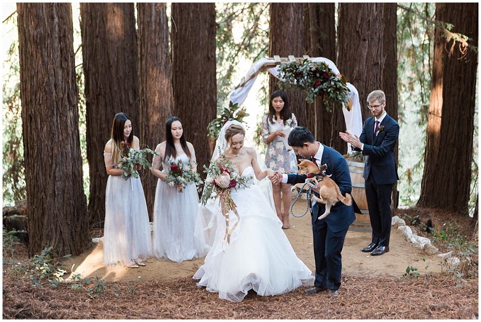 olive-clark-redwood-hideaway_0048