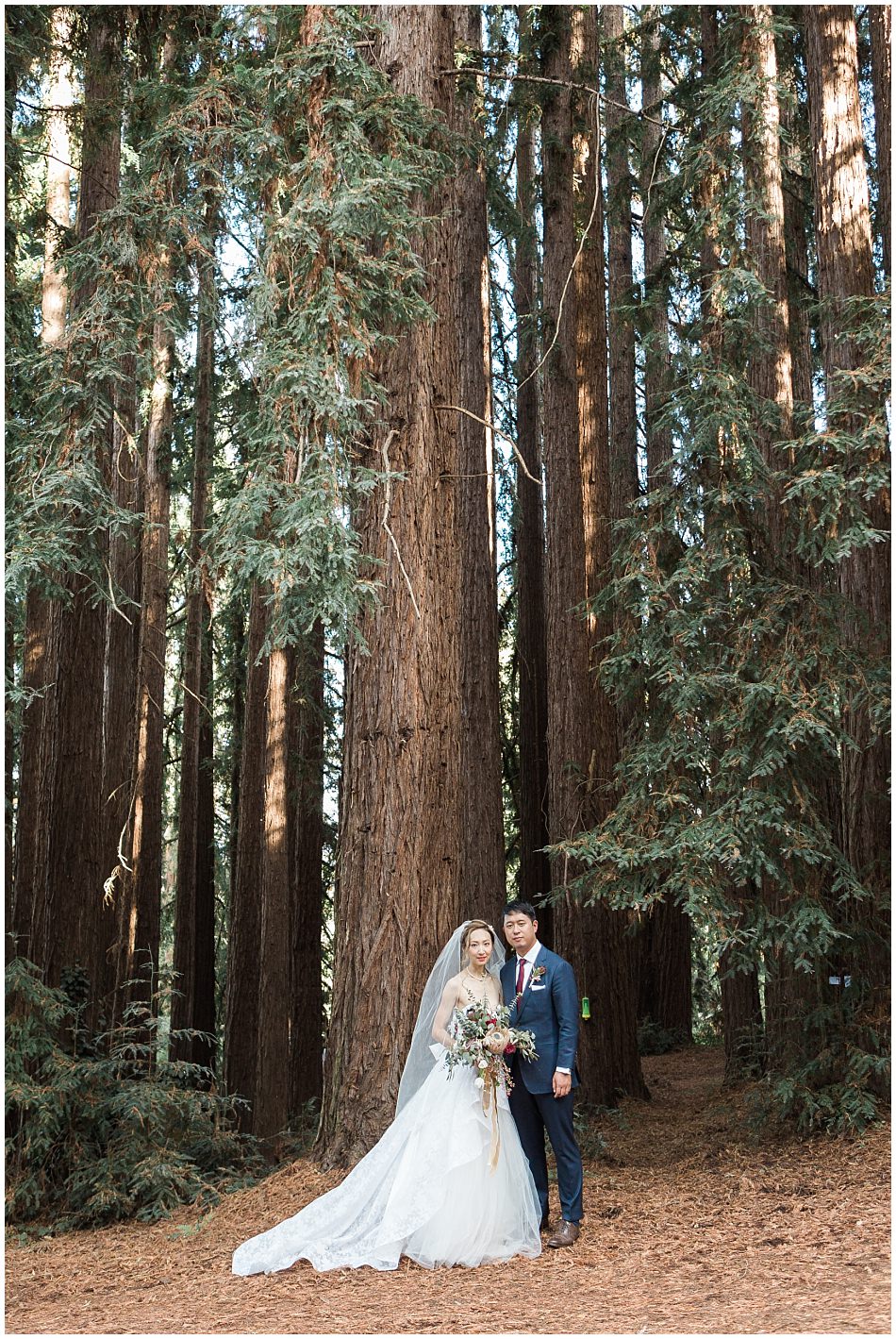 olive-clark-redwood-hideaway_0053