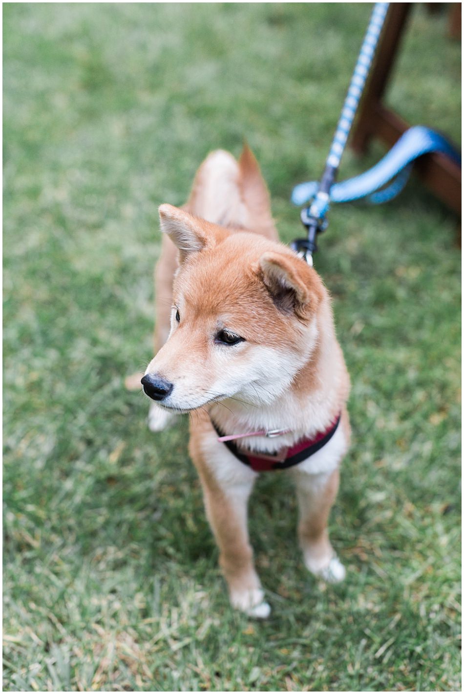 olive-clark-redwood-hideaway_0068